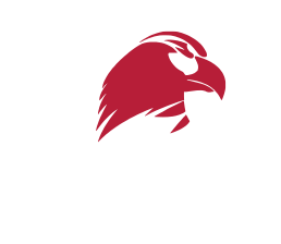 Bako logo